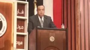 نتيجة فوز القائمة الوطنية من أجل مصر في قطاعي القاهرة ووسط الدلتا بالأرقام